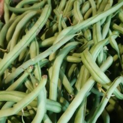 Haricot vert