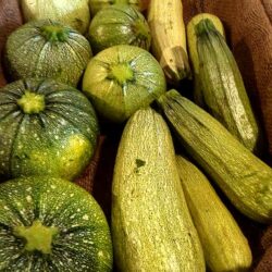 Courgette