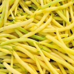 Haricot beurre