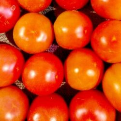 Tomate ronde