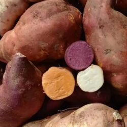 Patates douces panachées