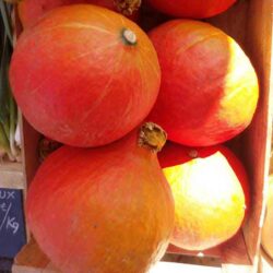 Courges (type potimarron)