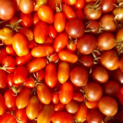 Tomates cerises