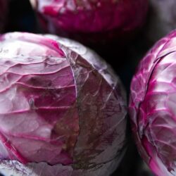 Choux rouge