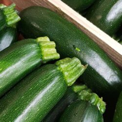 Courgette